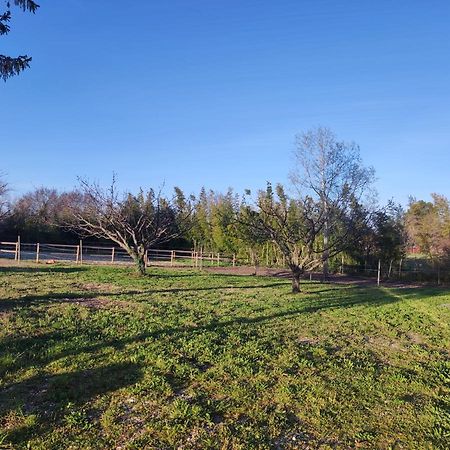 Maison A La Campagne Bouchet  Экстерьер фото