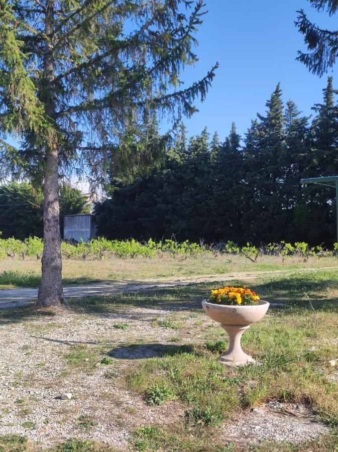 Maison A La Campagne Bouchet  Экстерьер фото