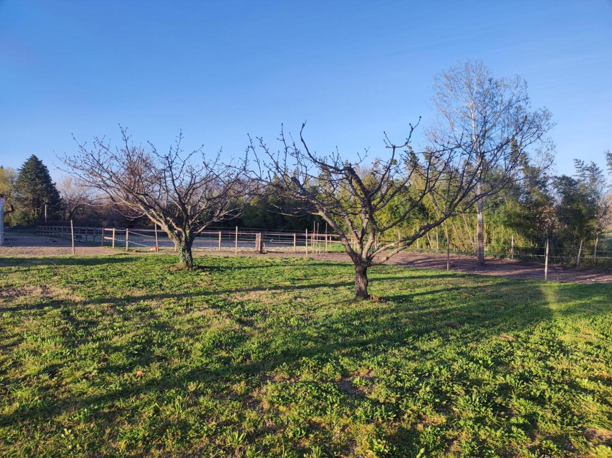 Maison A La Campagne Bouchet  Экстерьер фото